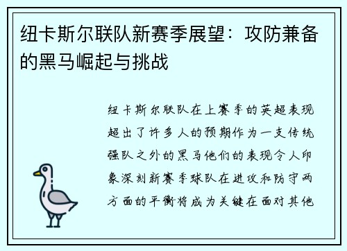 纽卡斯尔联队新赛季展望：攻防兼备的黑马崛起与挑战