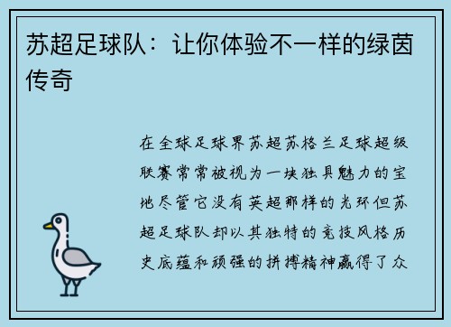 苏超足球队：让你体验不一样的绿茵传奇